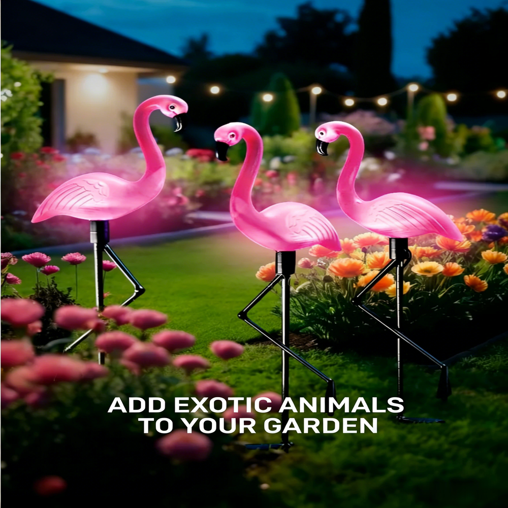 3Pcs Solar Powered Flamingo Gr - Outdoor Lighting Traditional incelemesi ve fiyatı